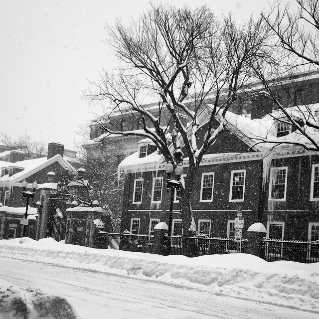 Snowy dorms across the street.